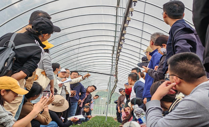 實(shí)地參觀種植基地