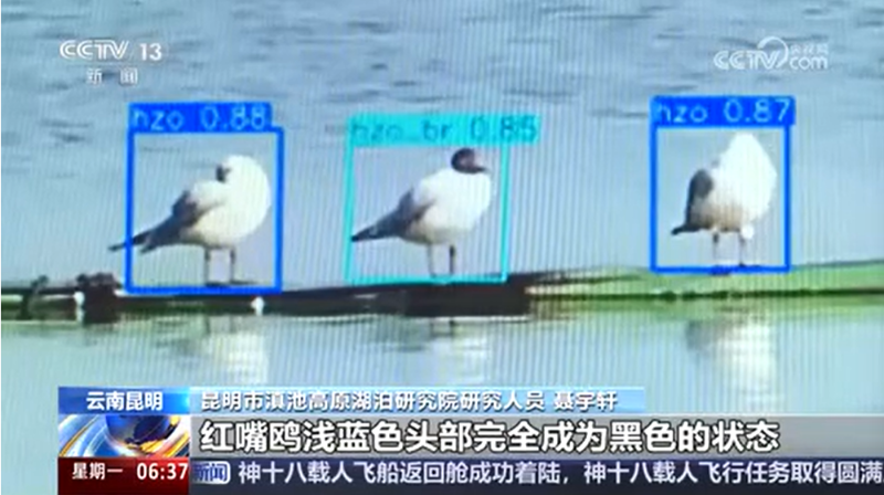 AI智慧觀測(cè)系統(tǒng) 提升監(jiān)測(cè)效率和準(zhǔn)確性。