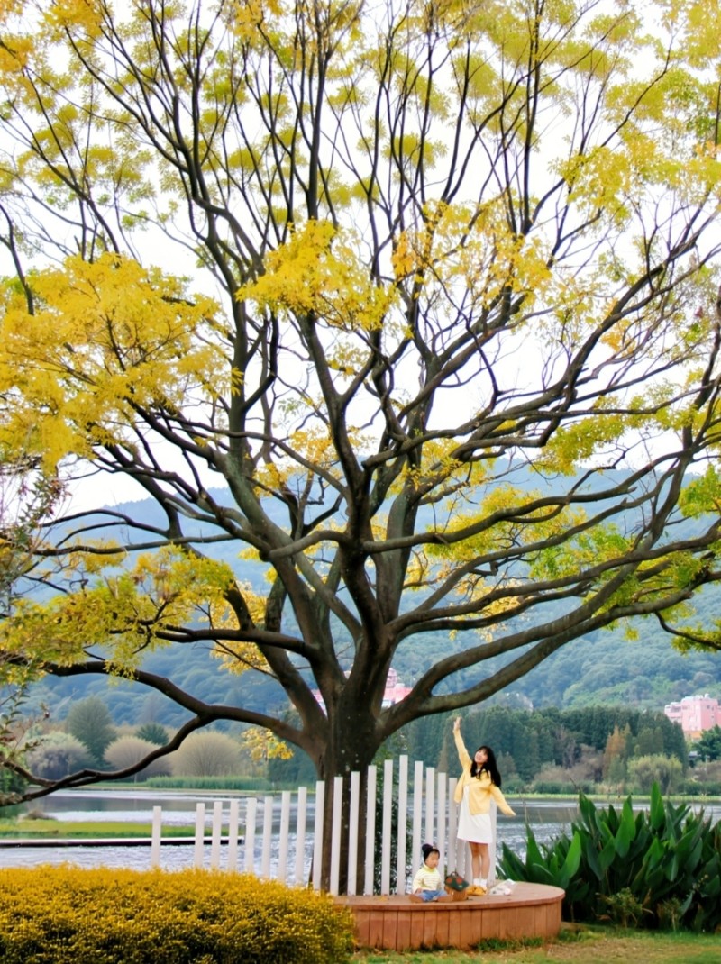 圖源:小紅書@倆狗一娃