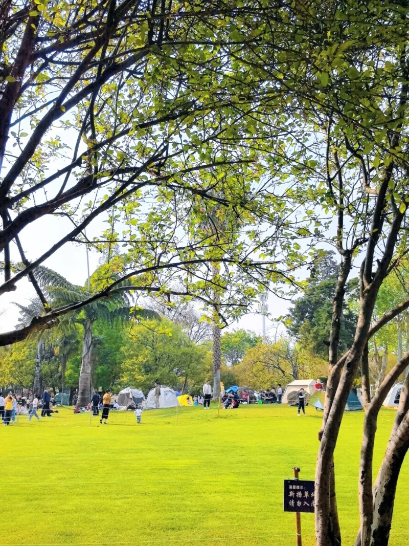 圖源:小紅書@你說小羊好呆