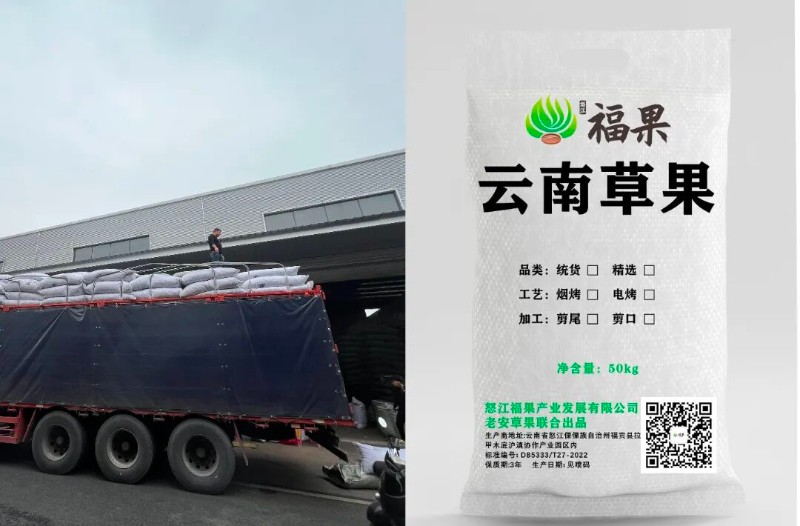 微信圖片_20251103105948_463_141 拷貝.jpg