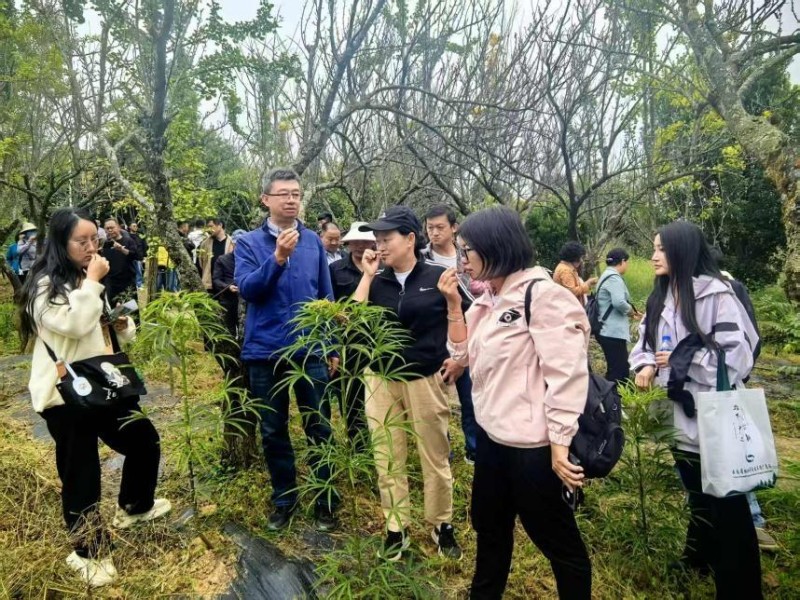 省林科院林下經(jīng)濟(jì)研究所所長孟夢講解木本森林蔬菜種植實用技術(shù)