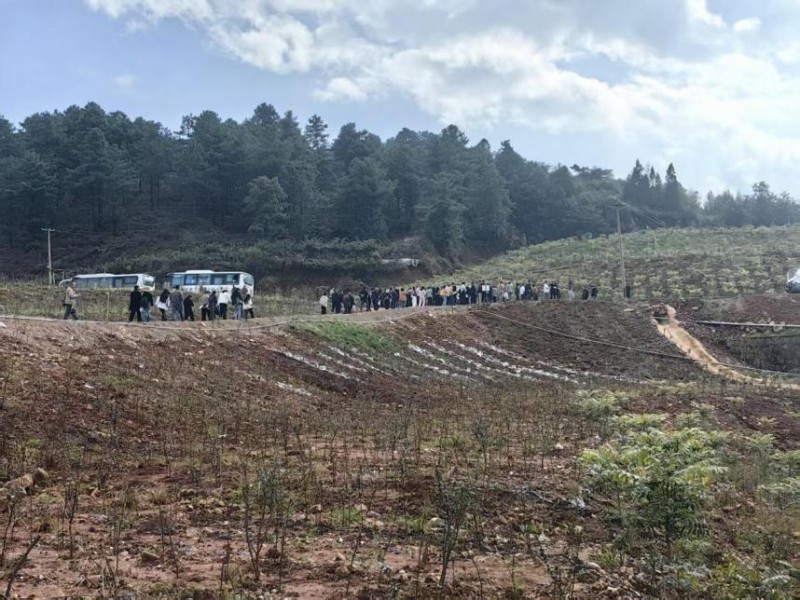 培訓(xùn)學(xué)員實地觀摩西山林場木本蔬菜種植基地