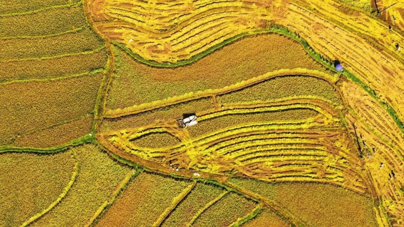 耿馬縣融媒體中心 供圖