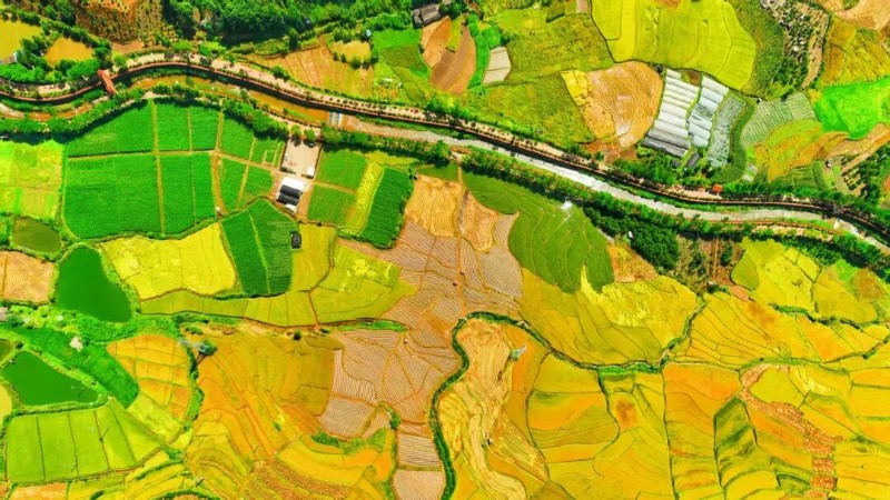 耿馬縣融媒體中心 供圖