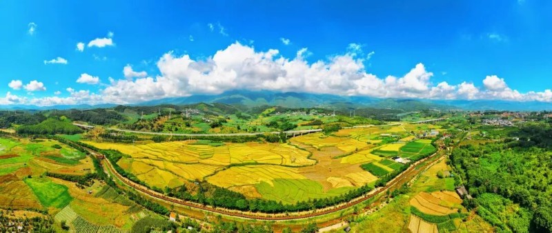 耿馬縣融媒體中心 供圖