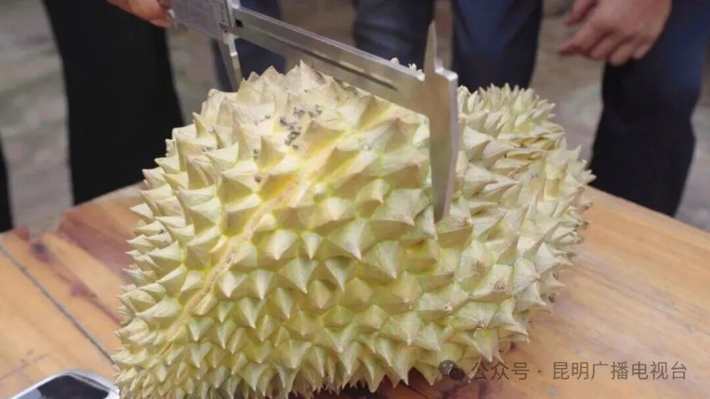 9月10日 (1)(1).jpg