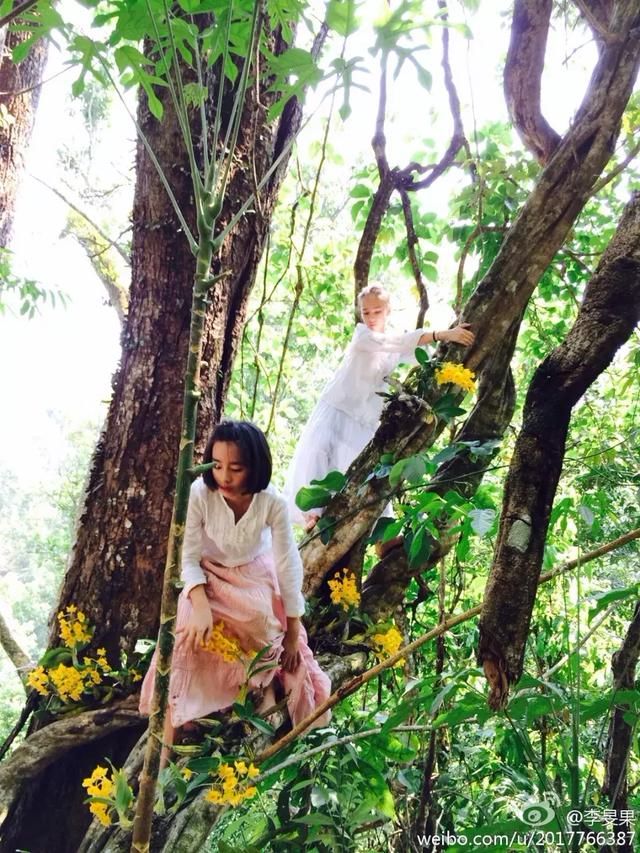 这个女人花19年重造6666亩雨林惊动联合国，活成当代三毛