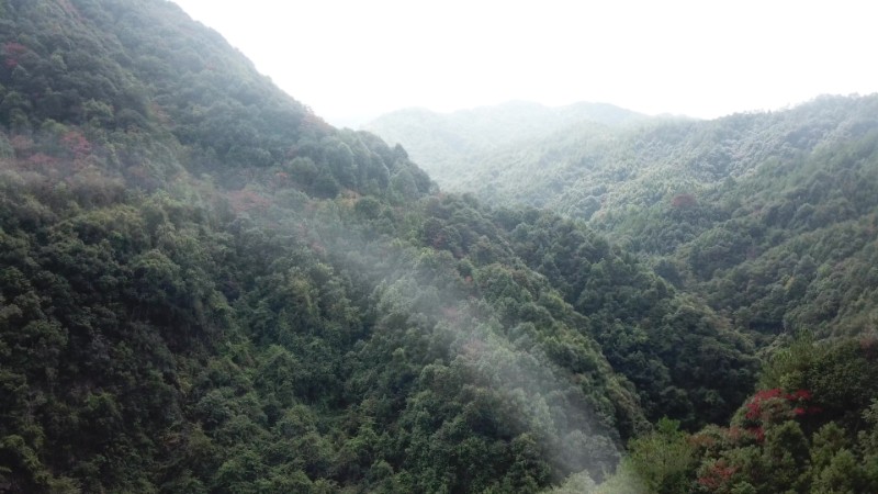 湘江源自然保护区秋季风光