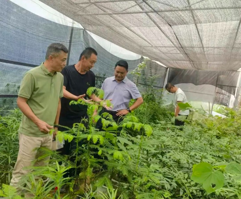 龙德生到糯扎渡管护局调研自然保护区管理工作3.jpg