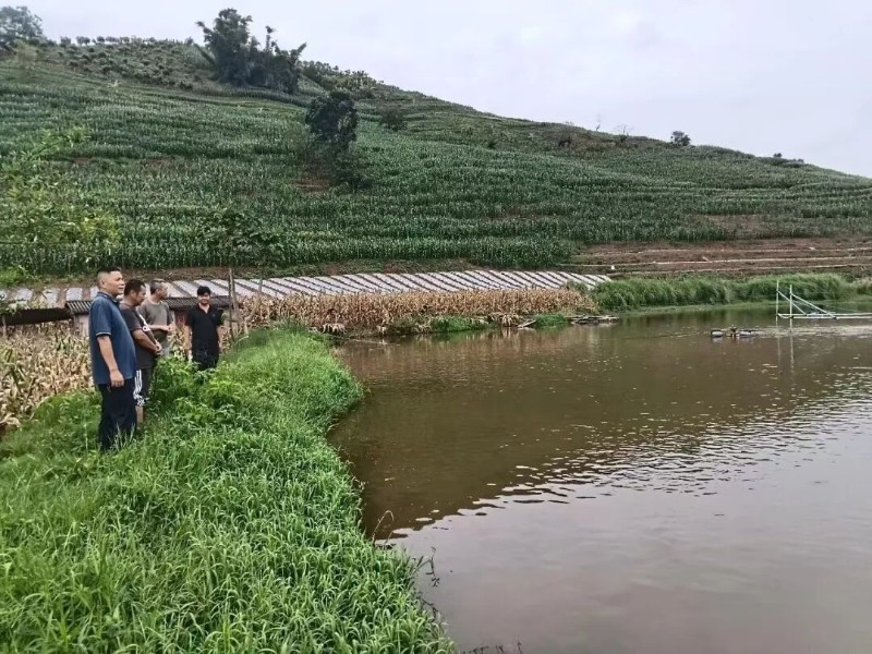 微信图片_20260807154647_91_888.jpg