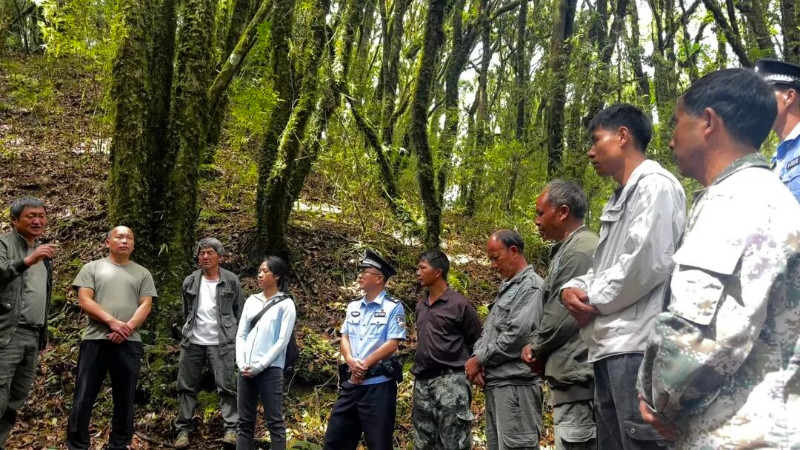 哀牢山镇沅管护局开展林区巡护 (1).jpg