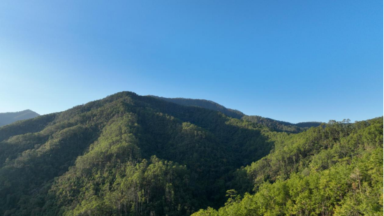 4.清理后照片2.png