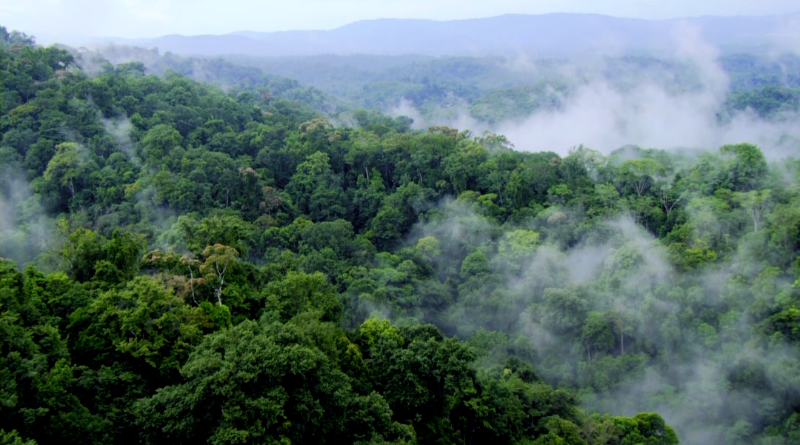 糯扎渡省级自然保护区风景 (2).png