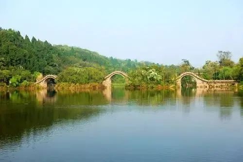 周末去哪玩？乘旅游公交，来一场生态之旅~ - 关注森林