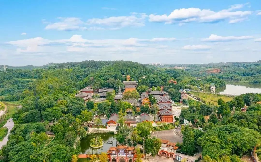 周末去哪玩？乘旅游公交，来一场生态之旅~ - 关注森林