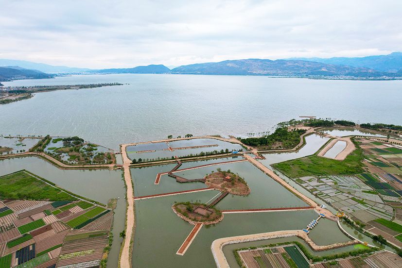 5月13日，航拍镜头下的星云湖周官河末端湿地。李冉 摄