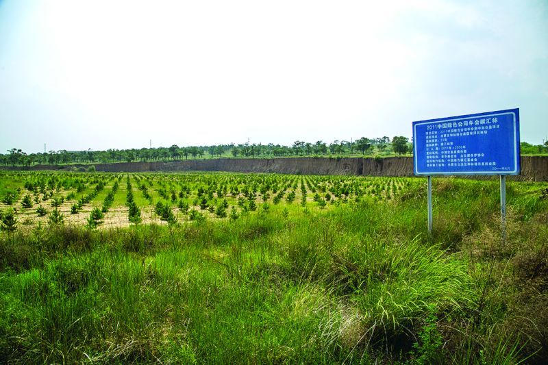 2011年中国绿公司年会碳汇林“老牛碳中和项目（第一期）”实景