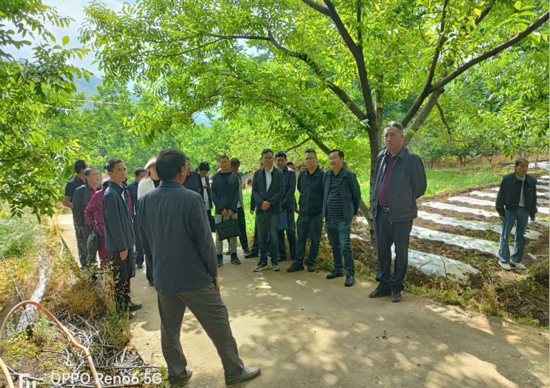 林下经济发展推进会现场