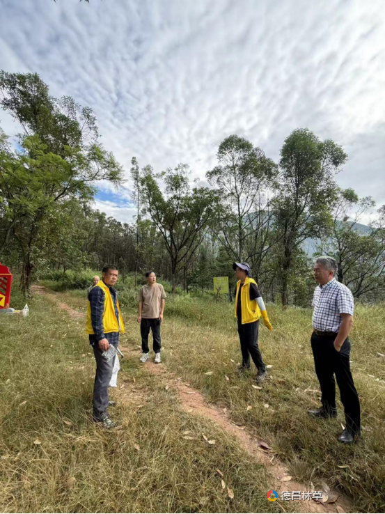 4353f437f5af77b40ce5f8659d52596