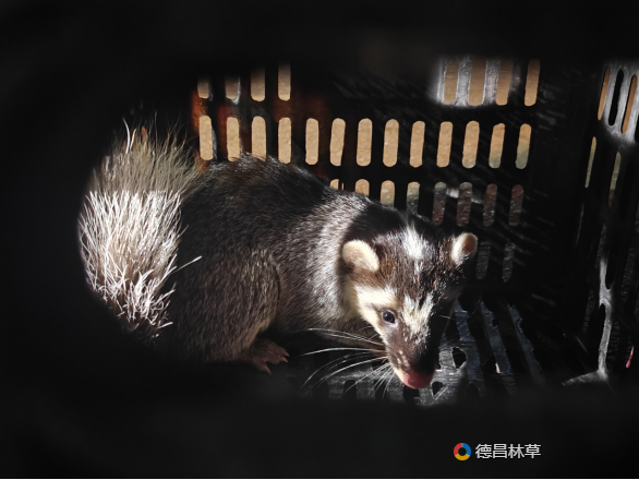 30390f7ff26edeeae16e6db85142d75