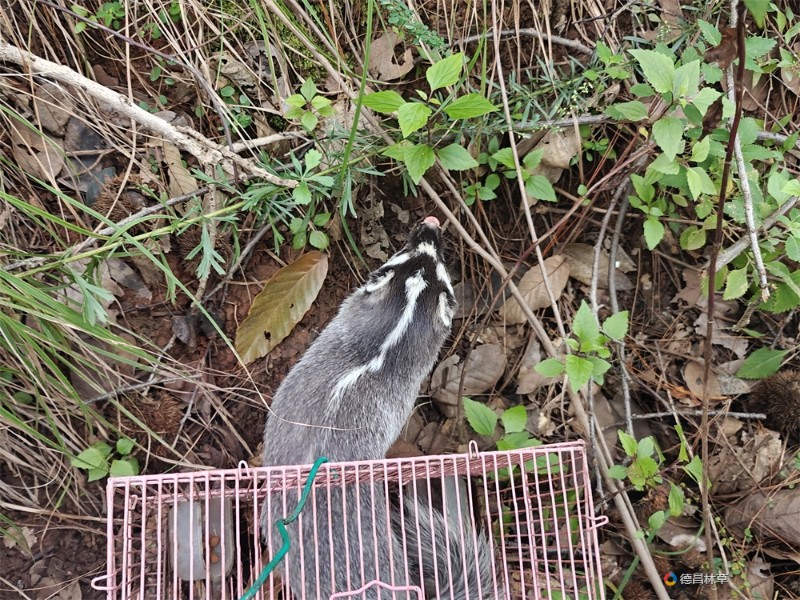 3e5a7452fa3a3c3a2e0fd95a79427c1