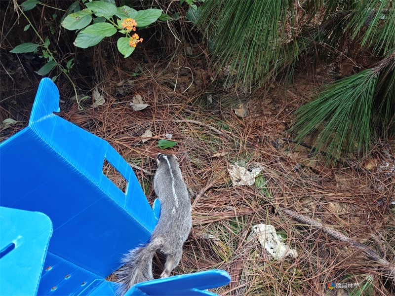 299e0f0105000b26e92eb681411ee71