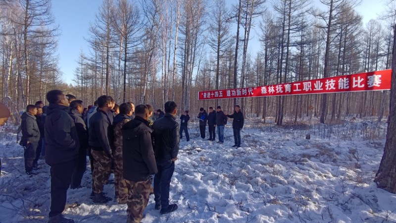 圖一：11月6日，吉文森工公司舉辦“奮進(jìn)十四五 建功新時(shí)代”森林可持續(xù)經(jīng)營技能大比武。