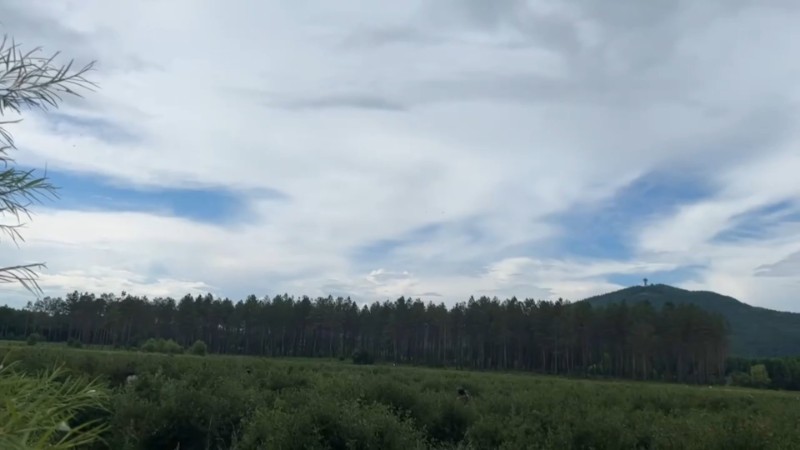 视频预览图