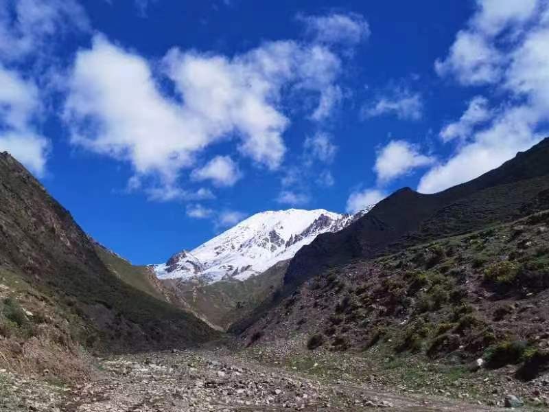 大河口自然保护站夏日祁连山-马永金2