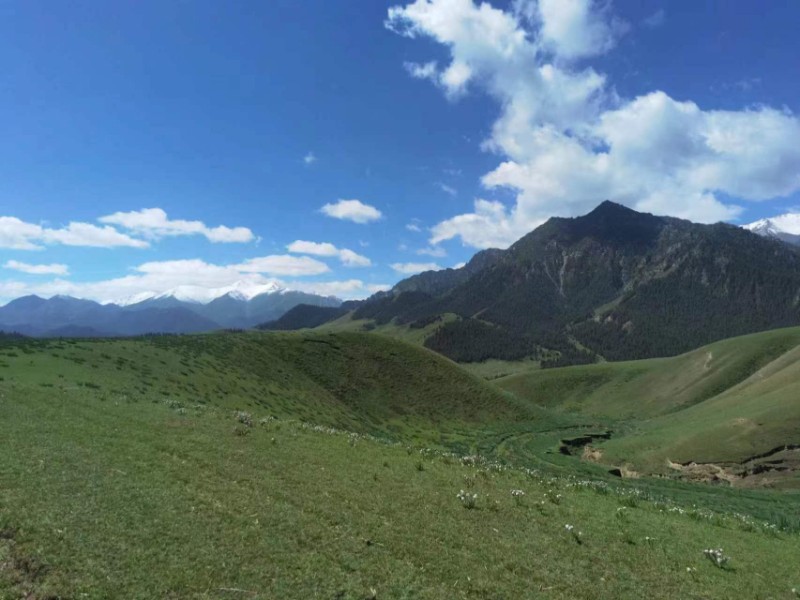 大河口自然保护站夏日祁连山-孙龙1