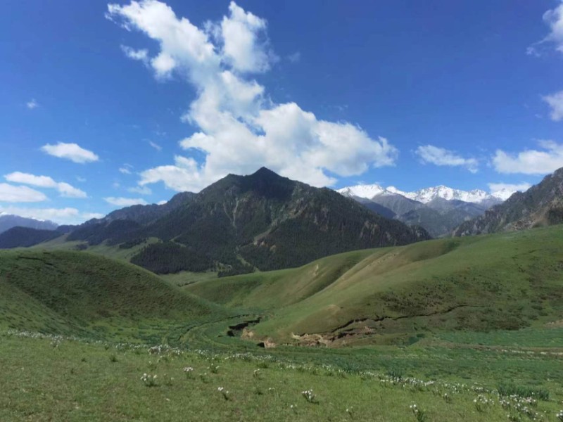 大河口自然保护站夏日祁连山-孙龙7