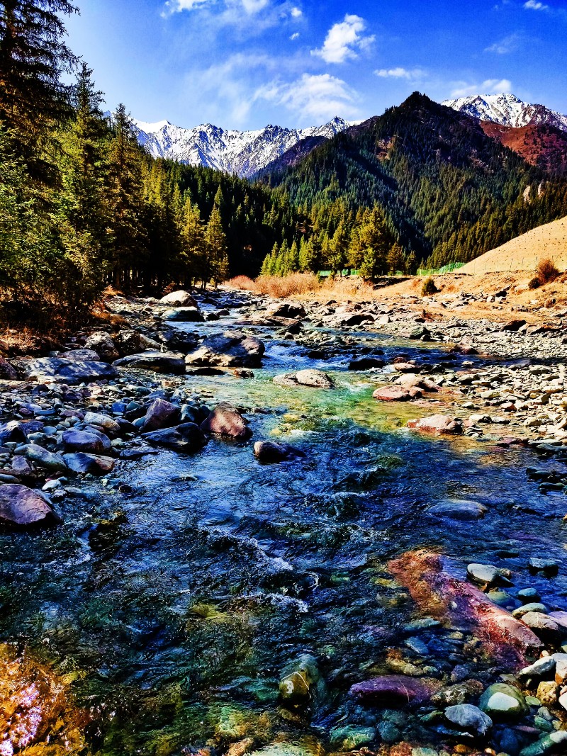 大河口—陈晓琴—祁连山美景8 6