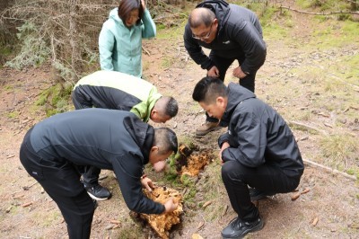 1760922351765.jpg 8I2A0896.jpg