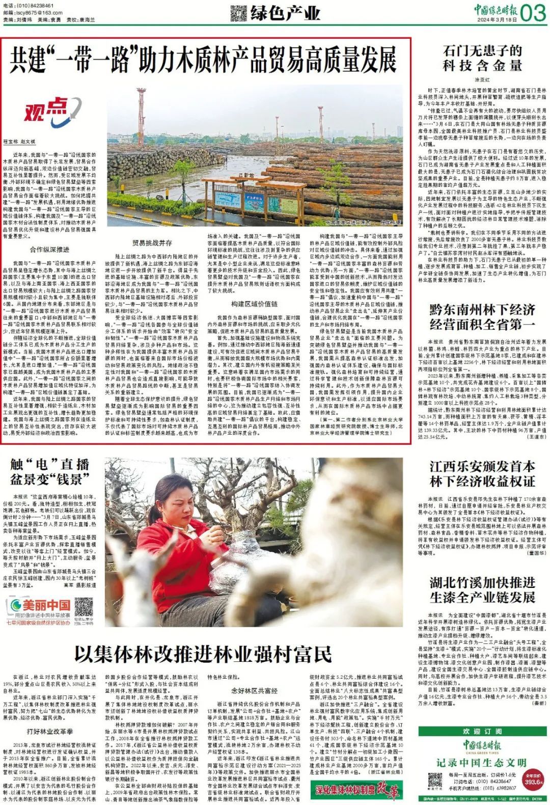 共建“一带一路”助力木质林产品贸易高质量发展 - 关注森林