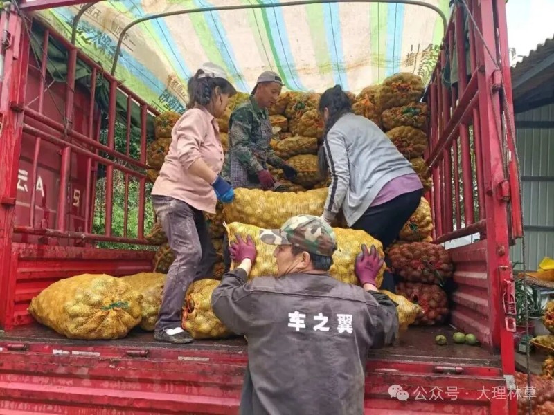 圖片