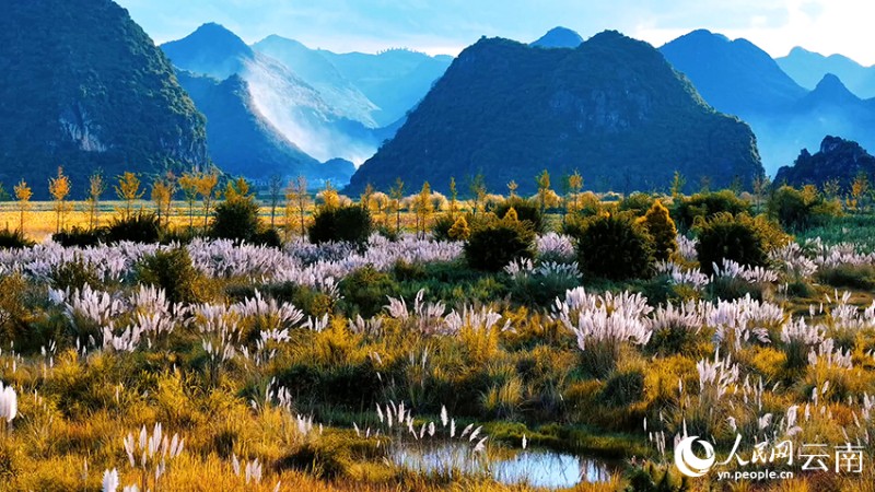 文山丘北普者黑景區(qū)風(fēng)景如畫(huà)。李皓嵐攝