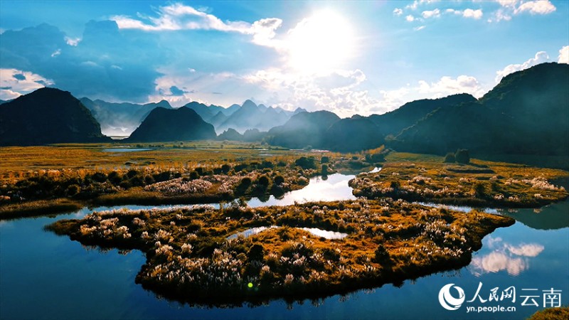 文山丘北普者黑景區(qū)風(fēng)景如畫。李皓嵐攝