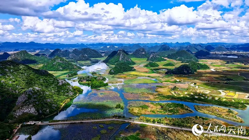 文山丘北普者黑景區(qū)風景如畫。張偉鵬攝