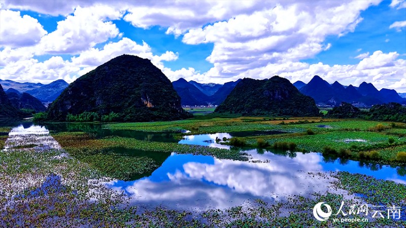 文山丘北普者黑景區(qū)風(fēng)景如畫(huà)。張偉鵬攝