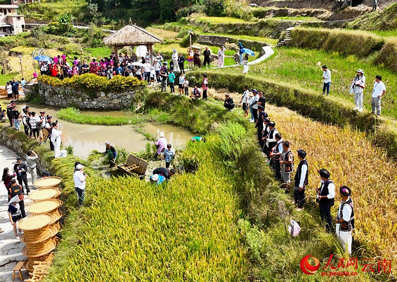 紅河縣舉辦農(nóng)民豐收節(jié)暨穿越梯田體育運動系列賽活動。李澤女?dāng)z