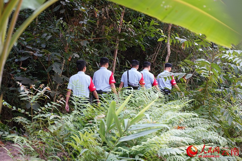 基諾山鄉(xiāng)派出所“波懋闊扯”服務(wù)隊(duì)進(jìn)山巡邏。人民網(wǎng)記者 蔡樹菁攝