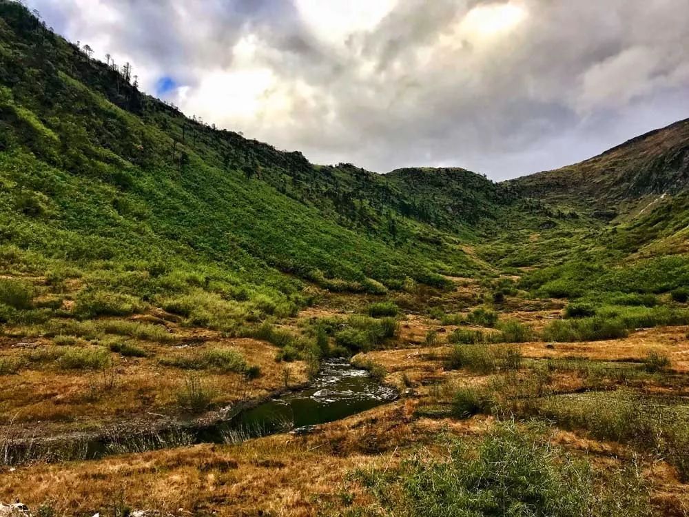 滇西北高山淡水生态系统生物多样性及环境特征