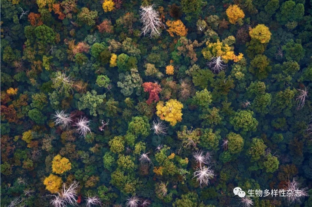 基于多源遥感数据的植物物种分类与识别