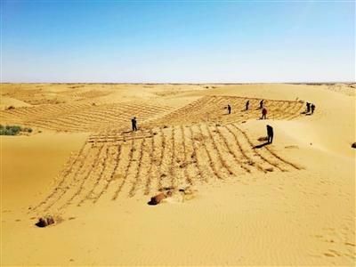 中国最年轻 最湿润的沙漠