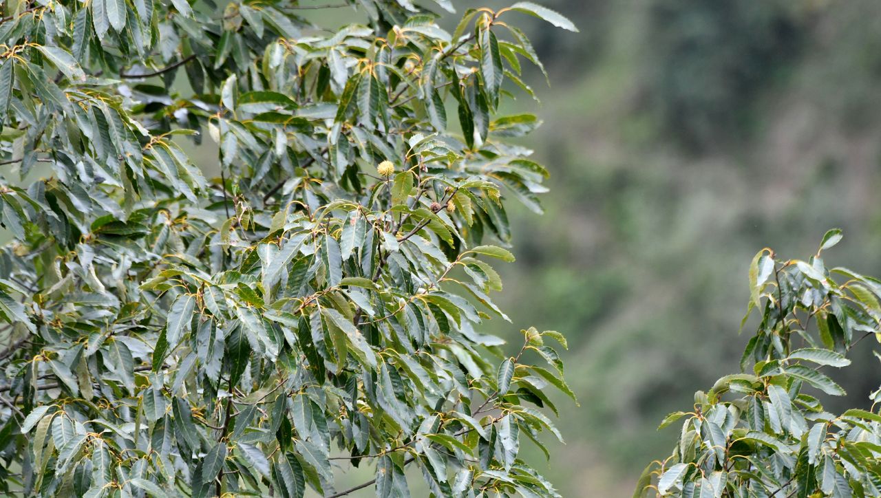 DSC_4166_副本