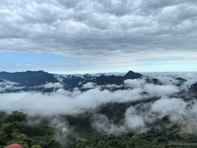 詹家坡风景