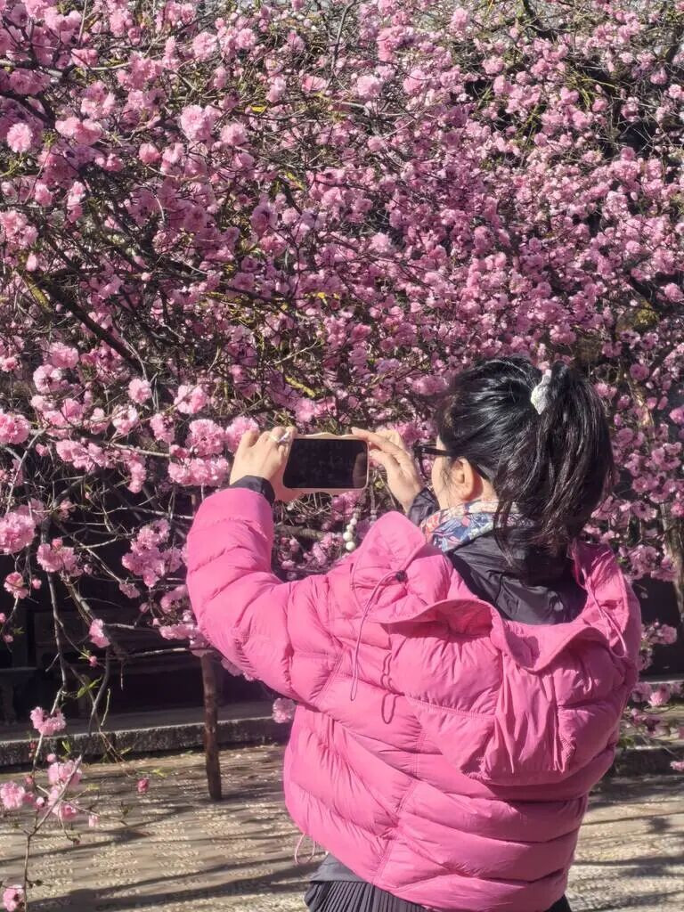 圖片