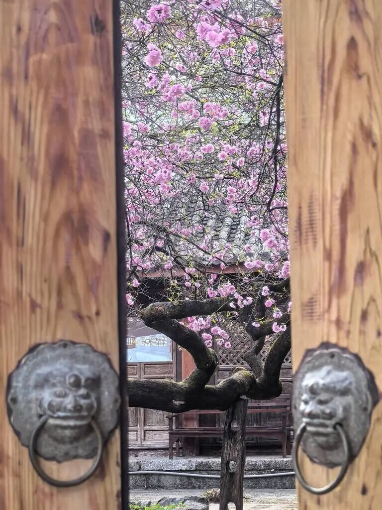 圖片