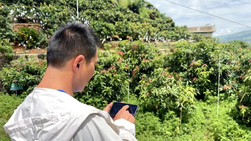 圖片